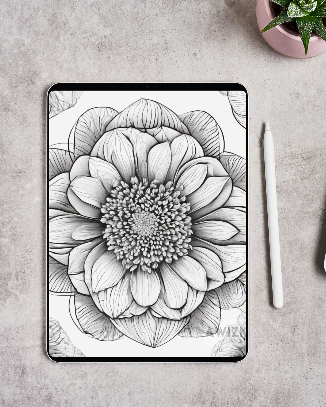 Digital Wallpaper Bundle | VIRAES