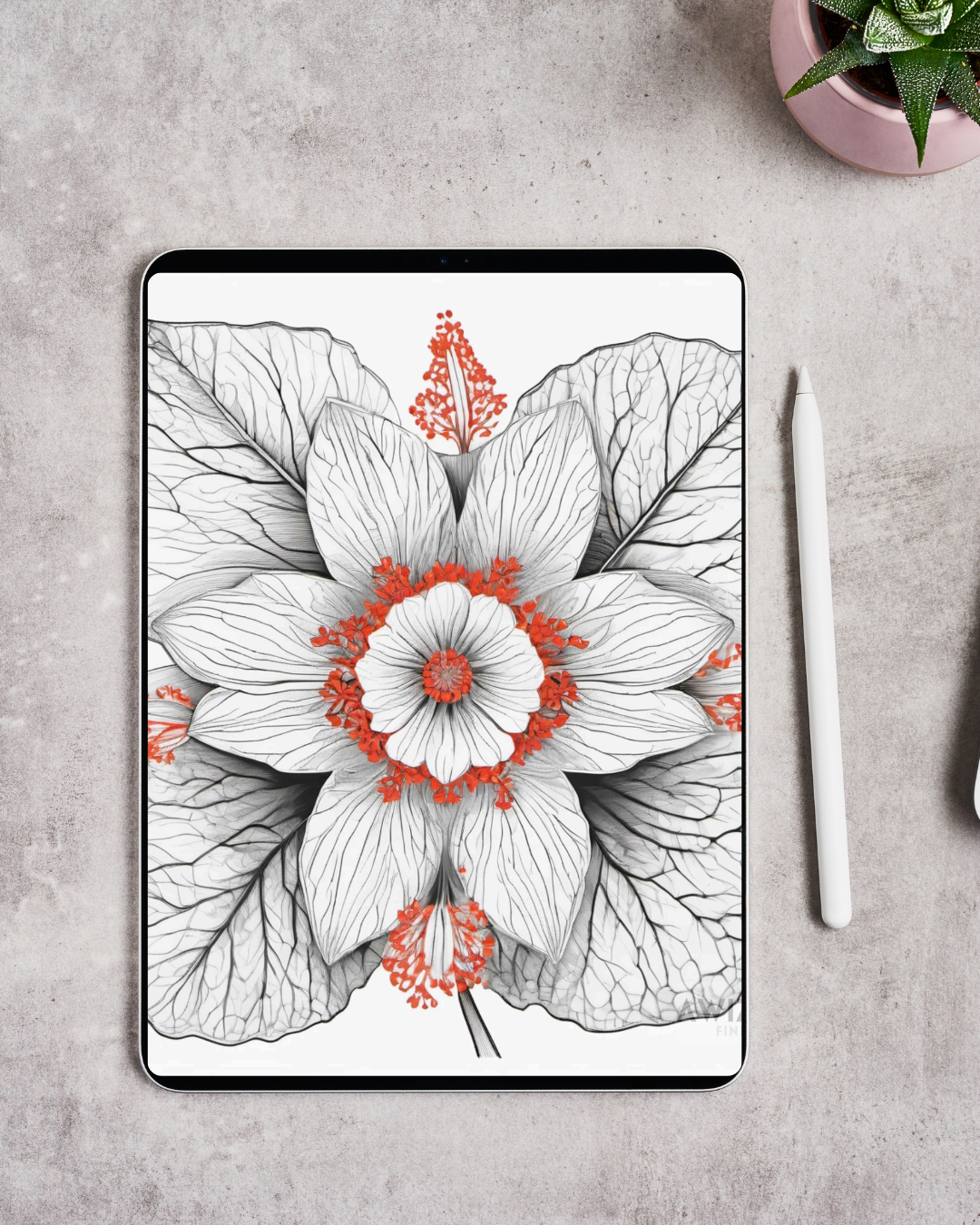 Digital Wallpaper Bundle | BONIS