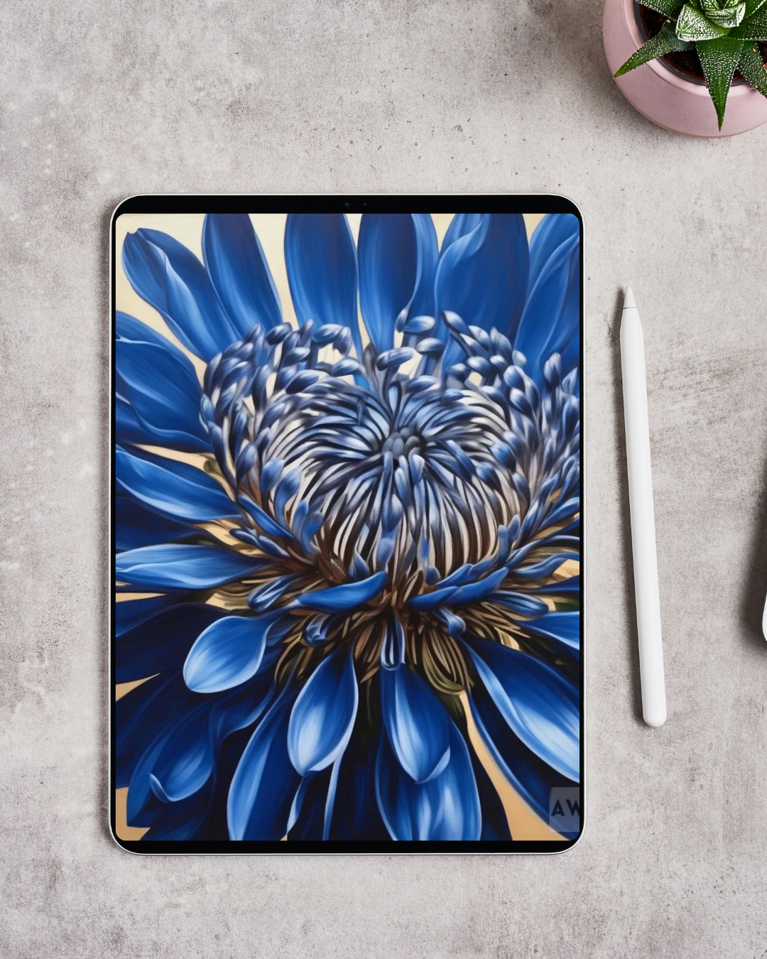 Digital Wallpaper Bundle | KEDU